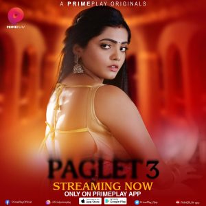 Paglet Web Series Cast and Crew